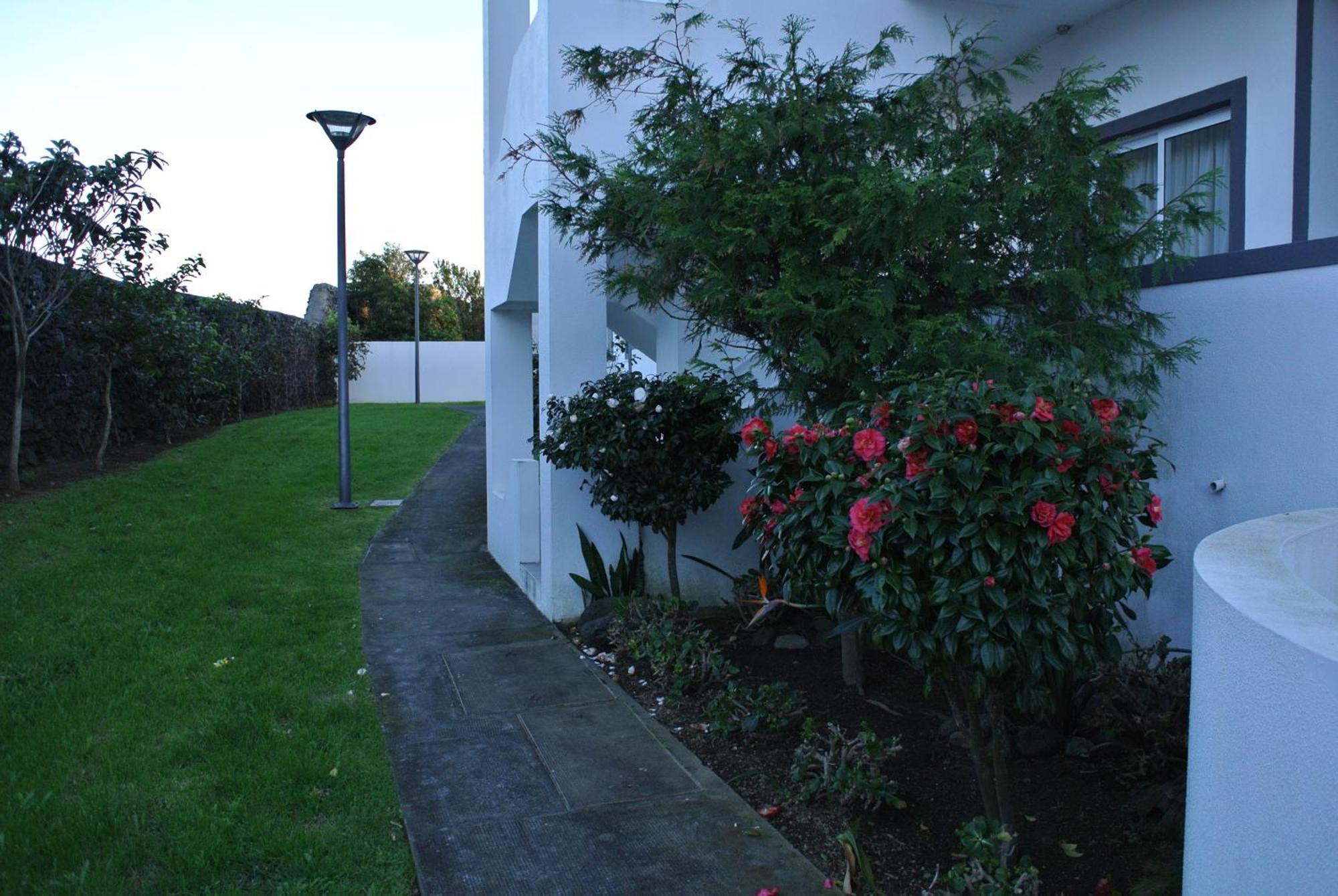 Casa Simba , Where The Fun Begins Ponta Delgada Exterior foto
